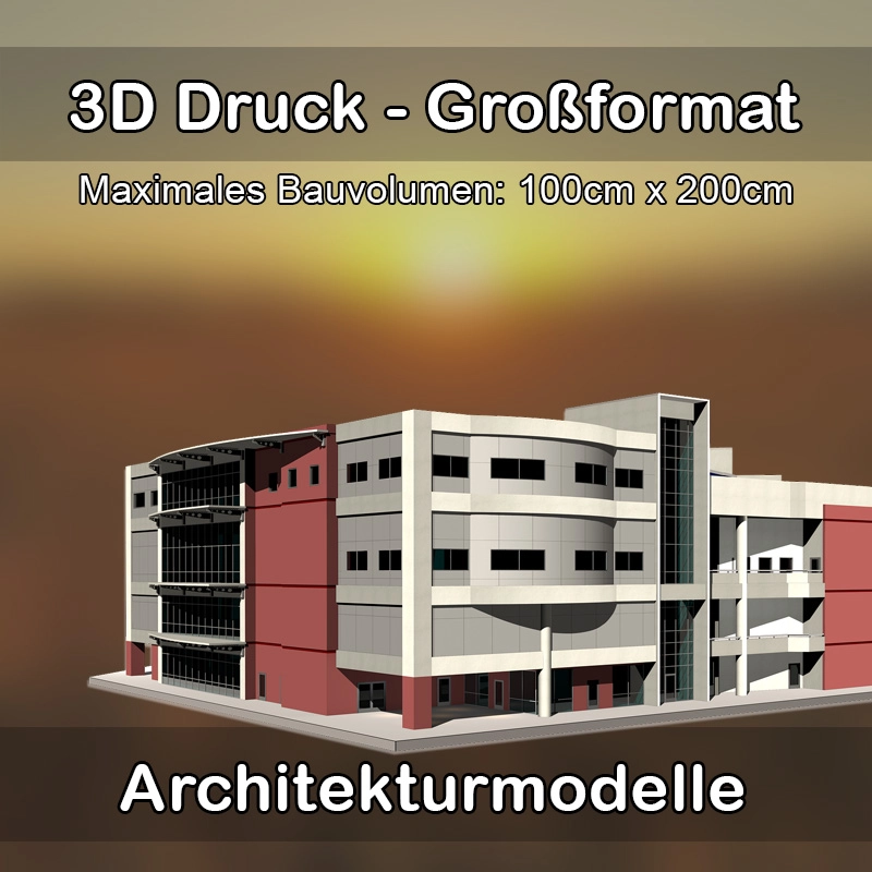 3D Druck Dienstleister in Bodman-Ludwigshafen