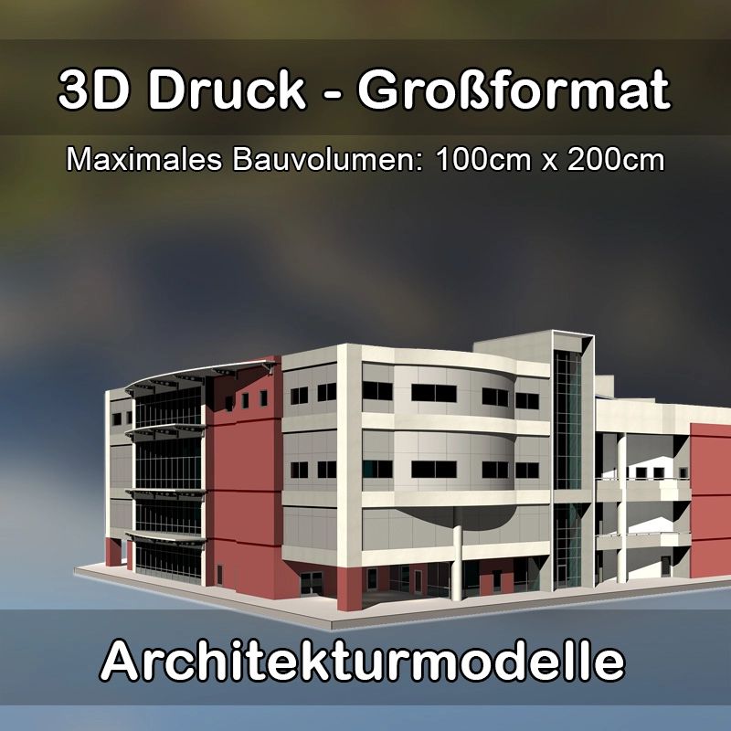 3D Druck Dienstleister in Nackenheim