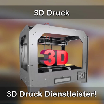 3D-Druckservice in Amelinghausen 
