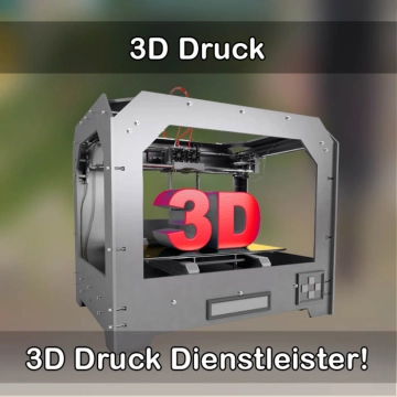 3D-Druckservice in Amt Neuhaus 