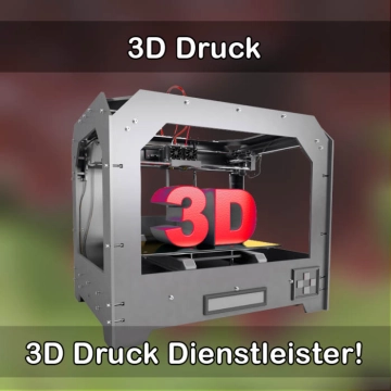 3D-Druckservice in Braunlage 