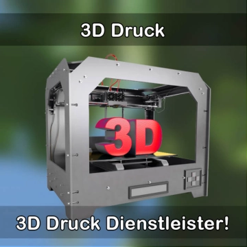 3D-Druckservice in Budenheim 