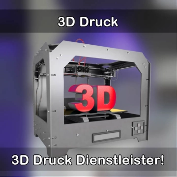 3D-Druckservice in Burg-Dithmarschen 