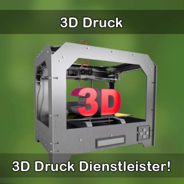 3D-Druckservice in Dassow 
