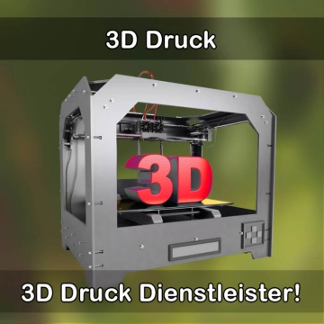 3D-Druckservice in Diespeck 