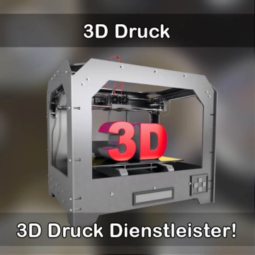 3D-Druckservice in Dietenhofen 