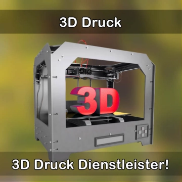 3D-Druckservice in Diez 