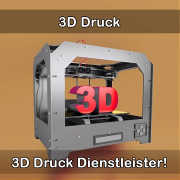3D-Druckservice in Dötlingen 