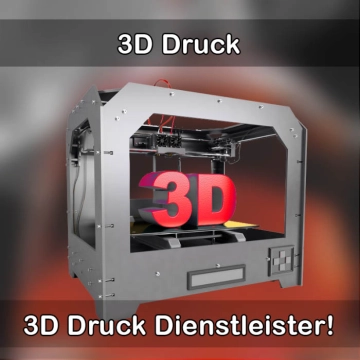 3D-Druckservice in Frankenthal (Pfalz) 