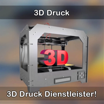3D-Druckservice in Freiensteinau 