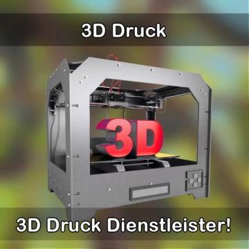 3D-Druckservice in Gieboldehausen 