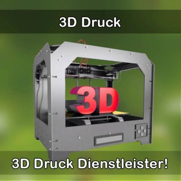 3D-Druckservice in Gochsheim 