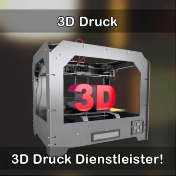 3D-Druckservice in Großrückerswalde 