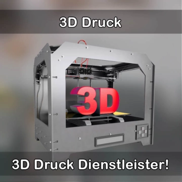3D-Druckservice in Hasbergen 