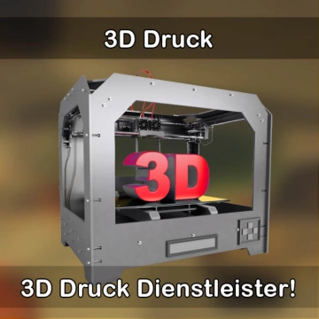 3D-Druckservice in Haßfurt 