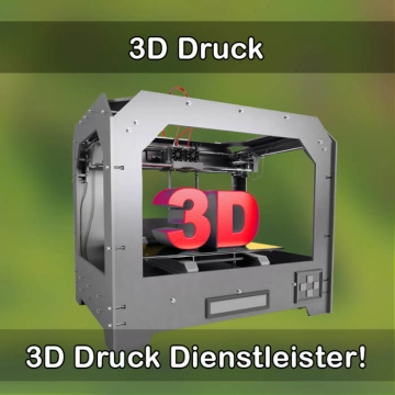 3D-Druckservice in Haßmersheim 