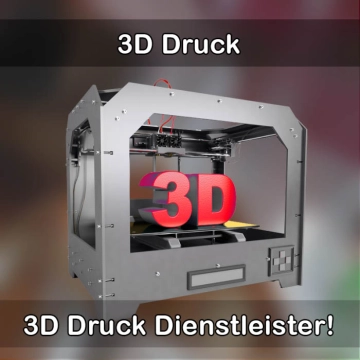 3D-Druckservice in Hecklingen 