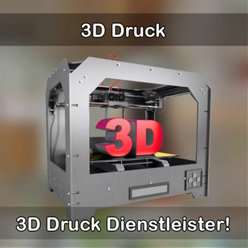 3D-Druckservice in Hodenhagen 
