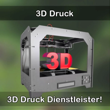 3D-Druckservice in Höchberg 