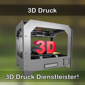 3D-Druckservice in Höchstädt an der Donau 