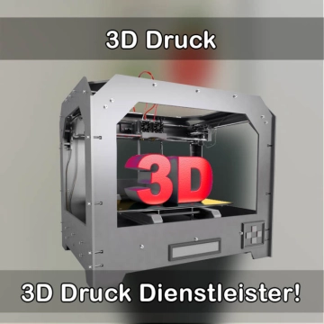 3D-Druckservice in Höhr-Grenzhausen 