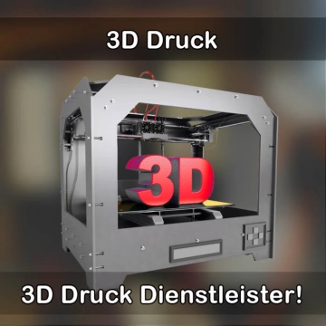 3D-Druckservice in Kammerstein 