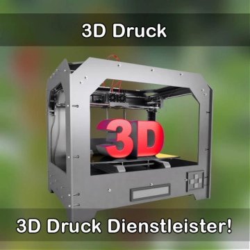 3D-Druckservice in Königsmoos 