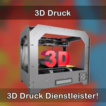 3D-Druckservice in Lauf (Baden) 