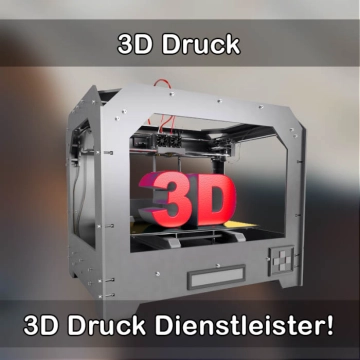 3D-Druckservice in Lichtentanne 