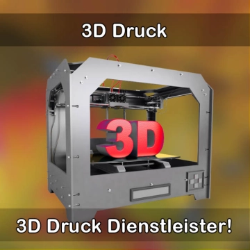 3D-Druckservice in Liebenau (Niedersachsen) 