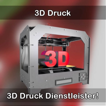 3D-Druckservice in Lingenfeld 