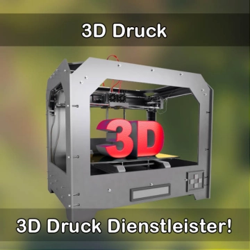 3D-Druckservice in Losheim am See 