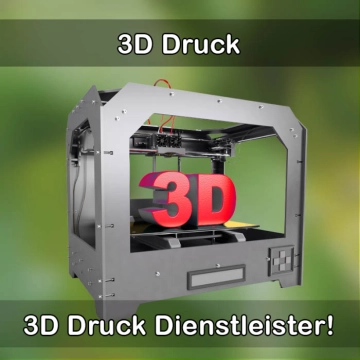 3D-Druckservice in Michelstadt 