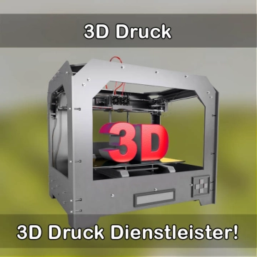 3D-Druckservice in Nassau 
