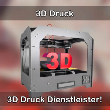 3D-Druckservice in Nastätten 