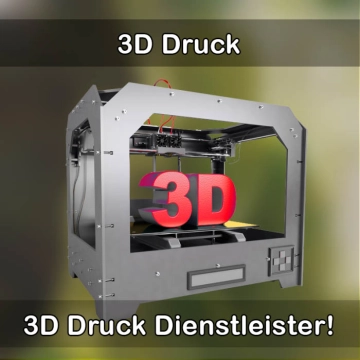 3D-Druckservice in Neckarbischofsheim 