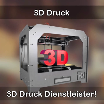 3D-Druckservice in Neuhaus am Rennweg 