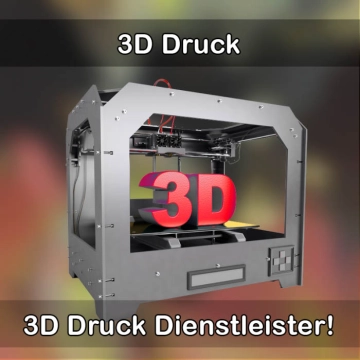 3D-Druckservice in Neumünster 