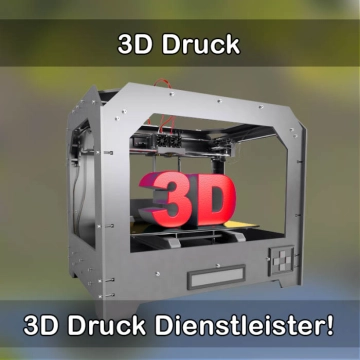 3D-Druckservice in Neustadt am Rübenberge 