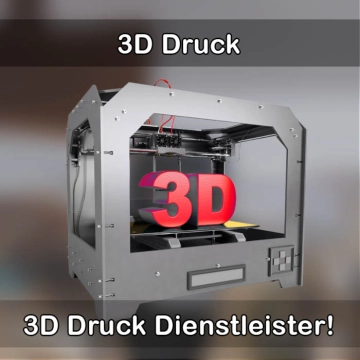 3D-Druckservice in Oldenburg in Holstein 