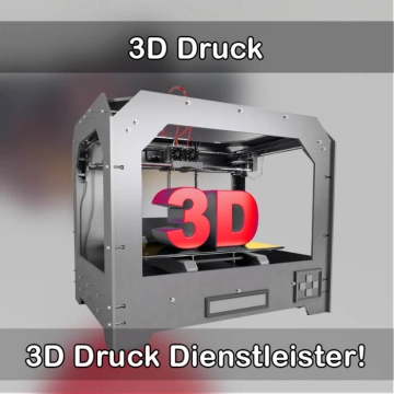 3D-Druckservice in Plate 