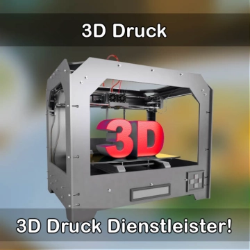 3D-Druckservice in Ratzeburg 