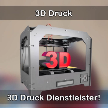 3D-Druckservice in Reinsdorf (Sachsen) 