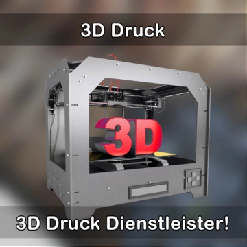 3D-Druckservice in Rheinzabern 