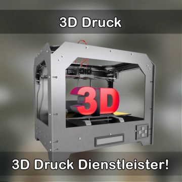 3D-Druckservice in Römerberg 