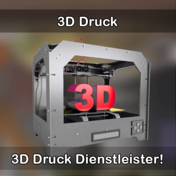 3D-Druckservice in Schöllkrippen 
