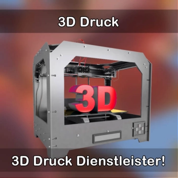 3D-Druckservice in Schwegenheim 