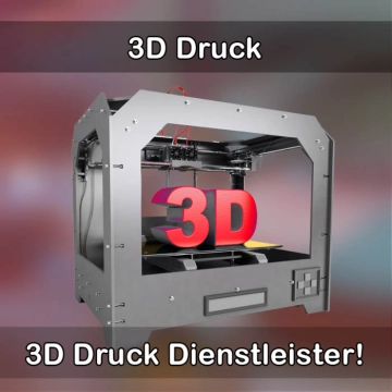 3D-Druckservice in Stadtlauringen 