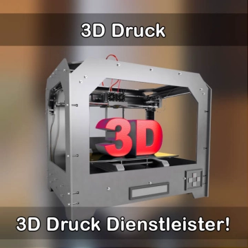 3D-Druckservice in Unterpleichfeld 