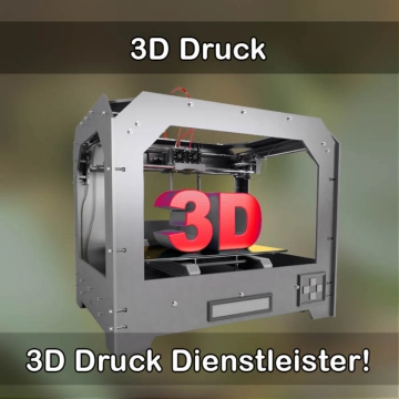 3D-Druckservice in Unterschneidheim 